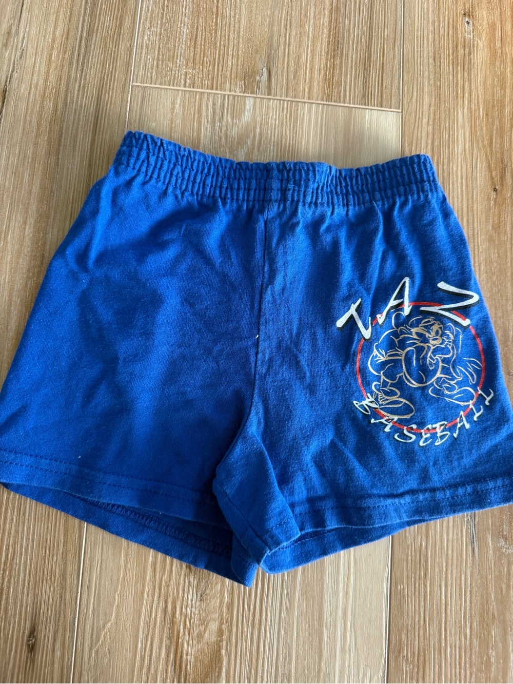 Vintage Looney Tunes Taz Shorts
